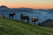 Sabato 13 Settembre 2014 – Da Piazza Brembana al rifugio Benigni-  FOTOGALLERY